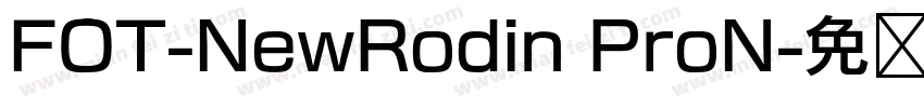 FOT-NewRodin ProN字体转换
